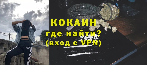 прущие грибы Бородино