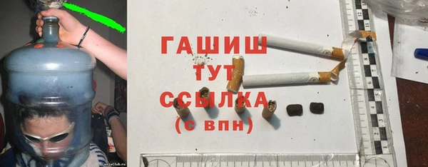 прущие грибы Бородино