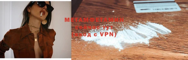 прущие грибы Бородино