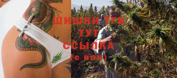 прущие грибы Бородино