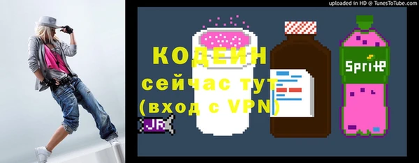 молекула духа Бугульма