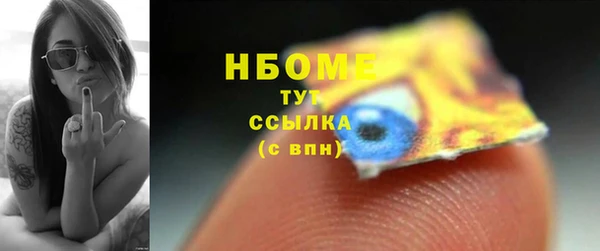 прущие грибы Бородино