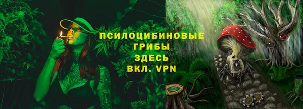 прущие грибы Бородино