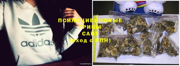 молекула духа Бугульма