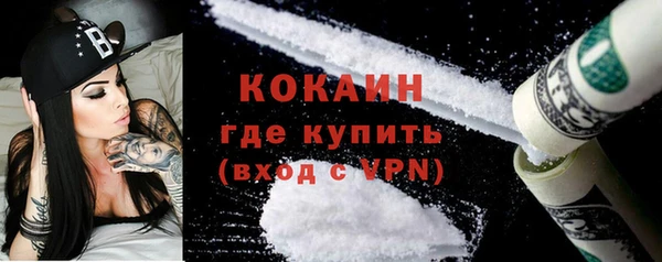 прущие грибы Бородино